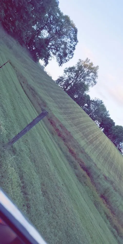 Professional landscape installation in Rocky Mount, VA - Blaine's Lawn & Tree