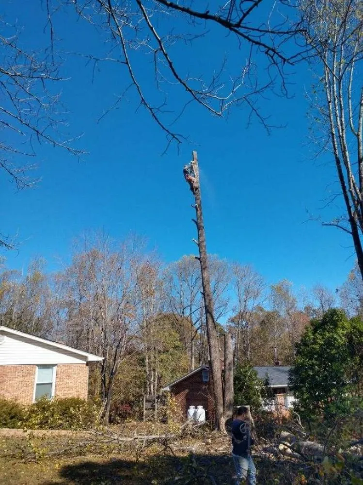 Custom outdoor landscaping with custom design in Rocky Mount, VA by Blaine's Lawn & Tree