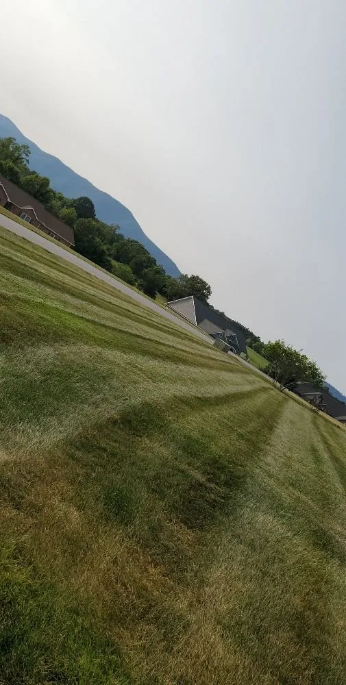 Expert yard maintenance for year-round maintenance across Rocky Mount, VA - Blaine's Lawn & Tree