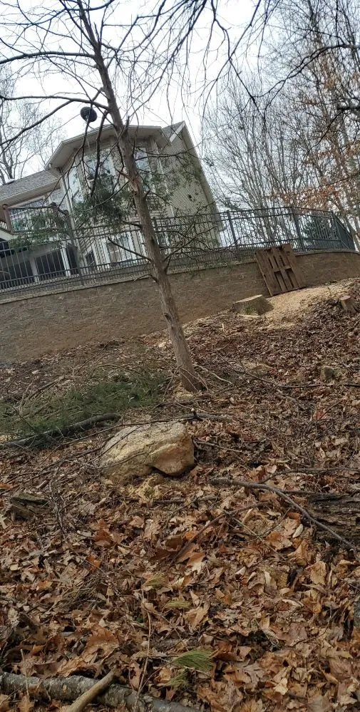 Top-rated outdoor landscaping in Rocky Mount, VA - Blaine's Lawn & Tree