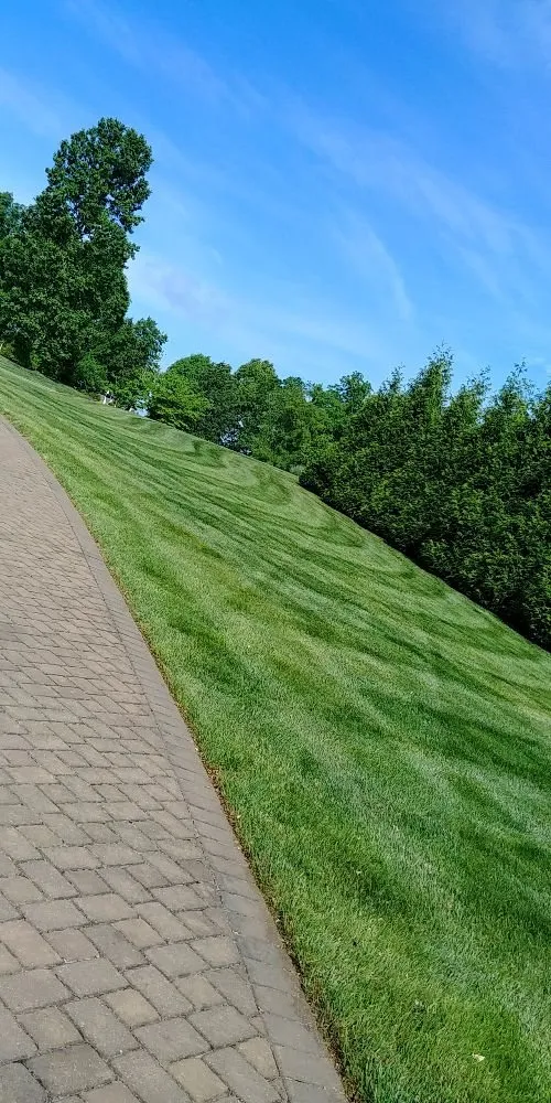 Expert landscaping services for year-round maintenance in Rocky Mount, VA by Blaine's Lawn & Tree