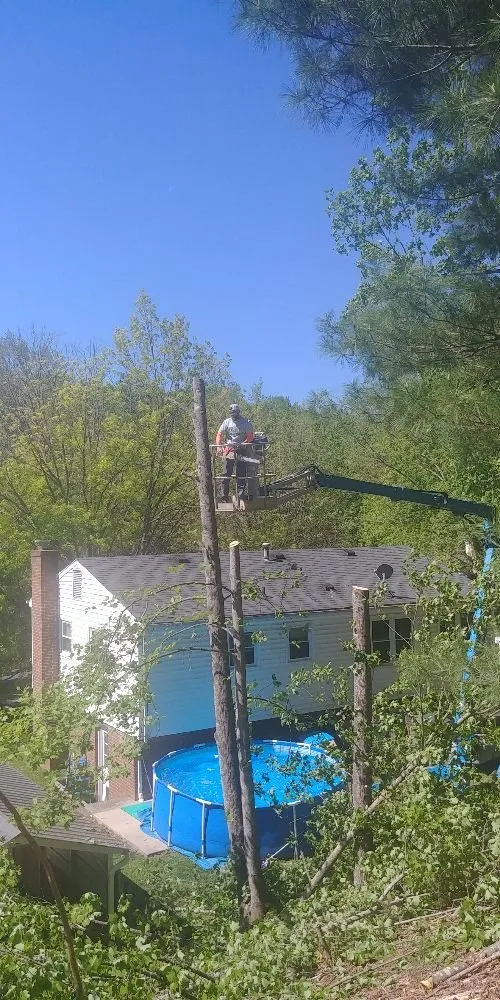 Local residential landscaping experts serving Rocky Mount, VA - Blaine's Lawn & Tree