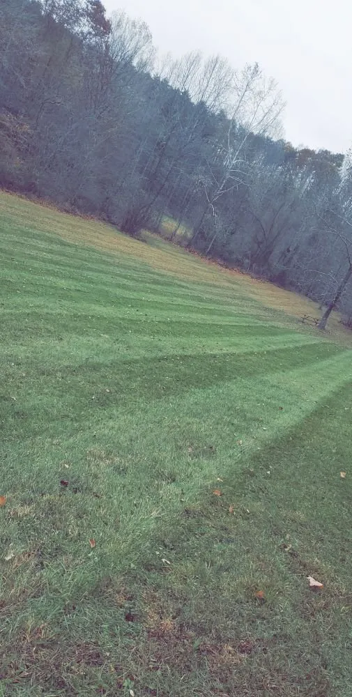 Local yard cleanup service in Rocky Mount, VA by Blaine's Lawn & Tree