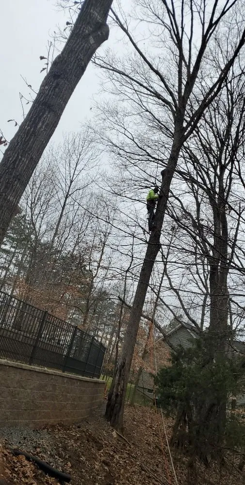 Affordable outdoor landscaping in Rocky Mount, VA - Blaine's Lawn & Tree