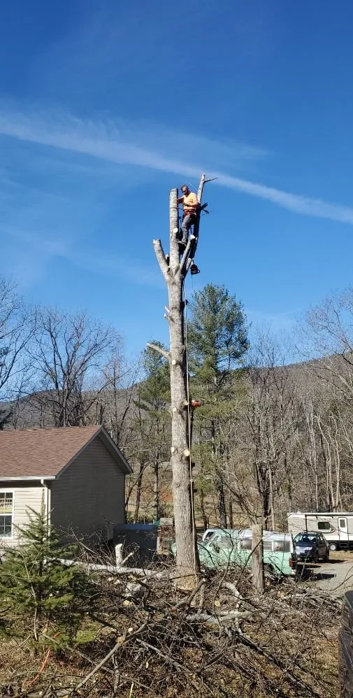 Professional landscape installation in Rocky Mount, VA - Blaine's Lawn & Tree