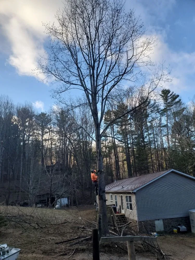 Trusted residential landscaping in Rocky Mount, VA by Blaine's Lawn & Tree