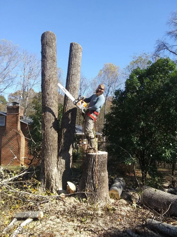 Custom landscape installation in Rocky Mount, VA - Blaine's Lawn & Tree