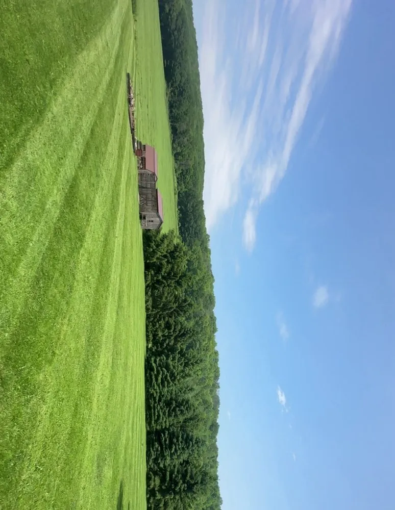 Trusted residential landscaping near you across Cuba, NY - Blair Care