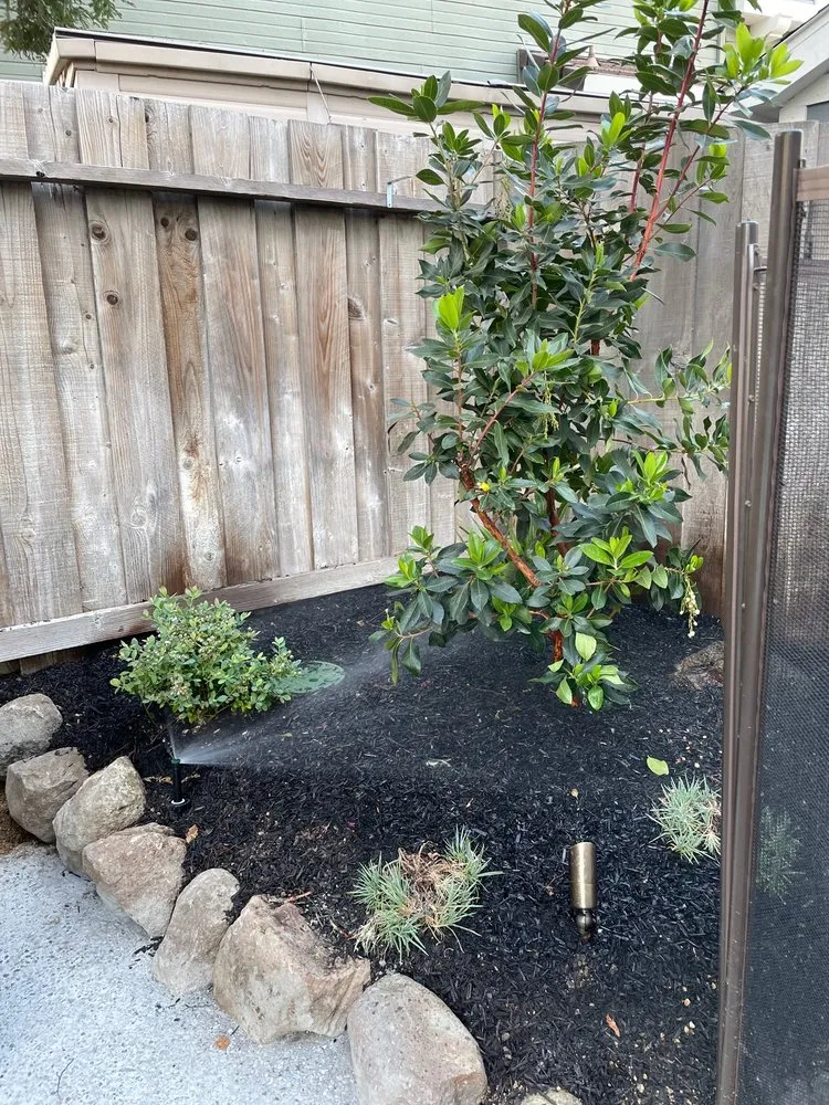 Reliable lawn care service in Livermore, CA by Blair Landscape Services