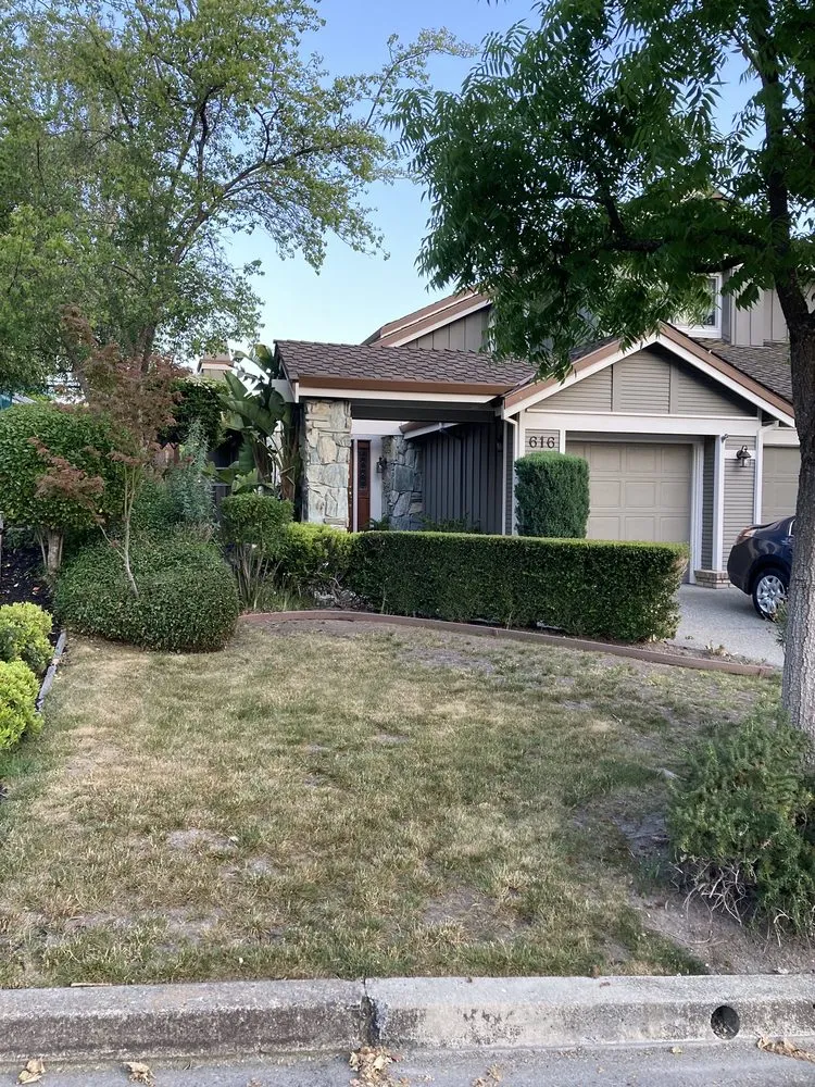 Affordable landscape installation for homes in Livermore, CA by Blair Landscape Services