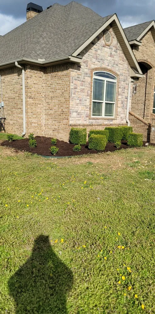 Expert yard cleanup service in Prairie Grove, AR - Blair Landscaping