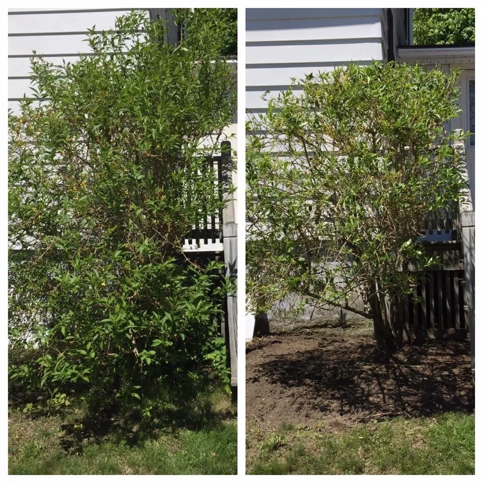 Custom outdoor landscaping for homes across Westmoreland, NY - Blair Landscaping