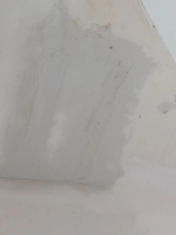 Professional outdoor landscaping in Anderson, IN - Blairs Demo, Hauling And Lawncare