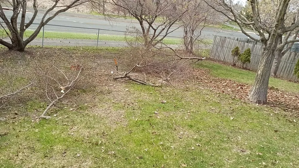 Top-rated landscape installation experts serving Maple Grove, MN - Blair's Landscape and Tree Services