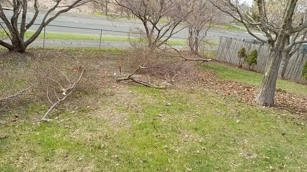 Blair's Landscape and Tree Services Logo