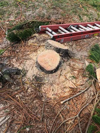 Custom yard maintenance for homes in Gibsonton, FL by Blaisdell's Removal