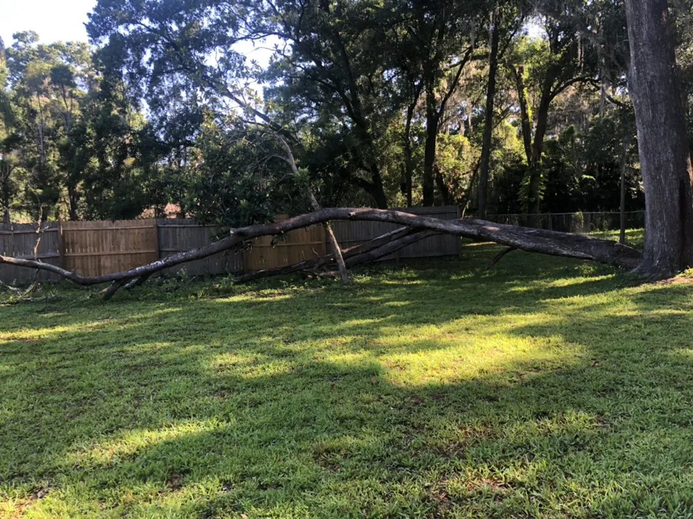 Local landscape design in Gibsonton, FL by Blaisdell's Removal