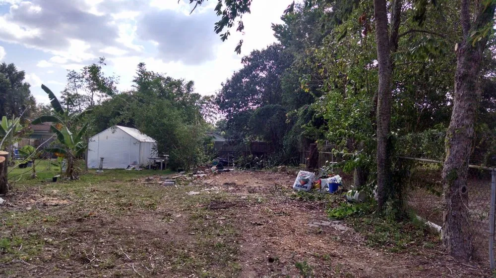 Affordable yard maintenance in Gibsonton, FL by Blaisdell's Removal