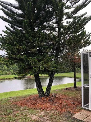 Reliable outdoor landscaping near you in Gibsonton, FL by Blaisdell's Removal