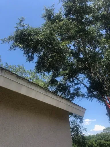 Affordable residential landscaping for year-round maintenance across Gibsonton, FL - Blaisdell's Removal