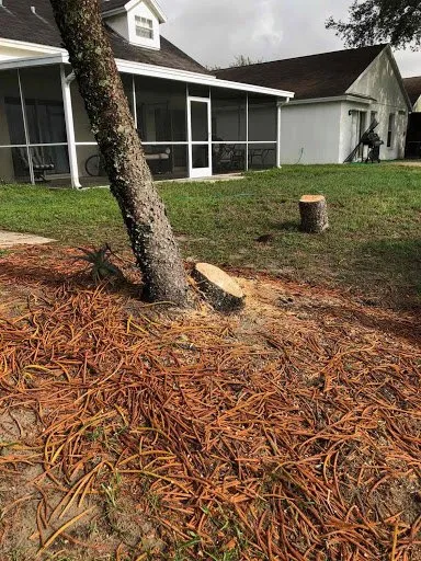 Trusted landscaping services for homes in Gibsonton, FL by Blaisdell's Removal