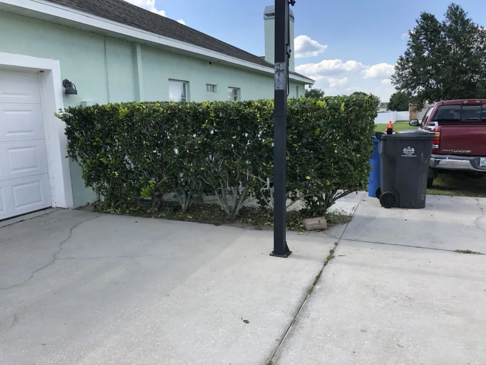 Trusted landscaping services for year-round maintenance in Gibsonton, FL by Blaisdell's Removal
