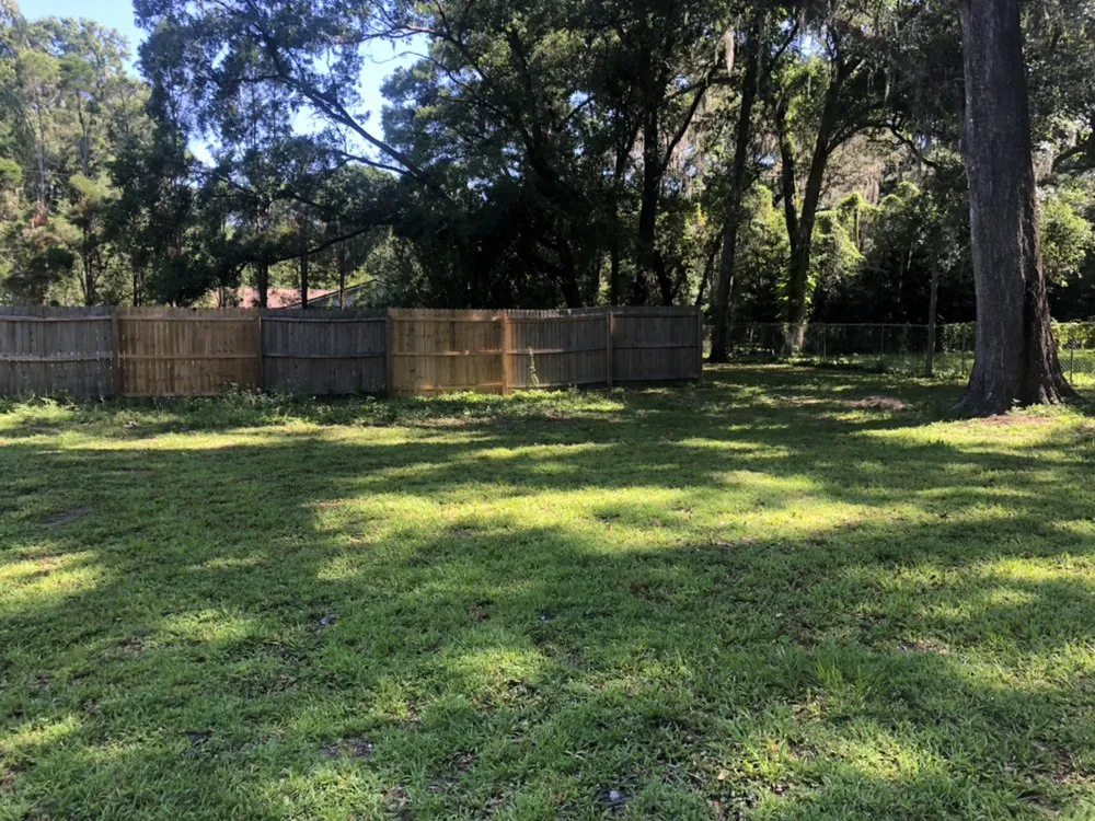 Professional outdoor landscaping experts serving Gibsonton, FL - Blaisdell's Removal