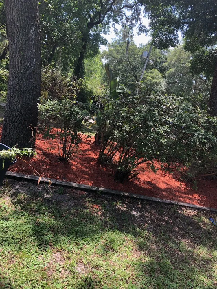 Trusted landscaping services in Gibsonton, FL by Blaisdell's Removal