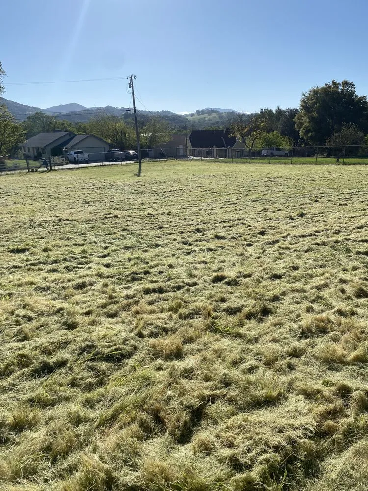 Expert lawn mowing service with custom design across Atascadero, CA - Blaise’s LawnCare