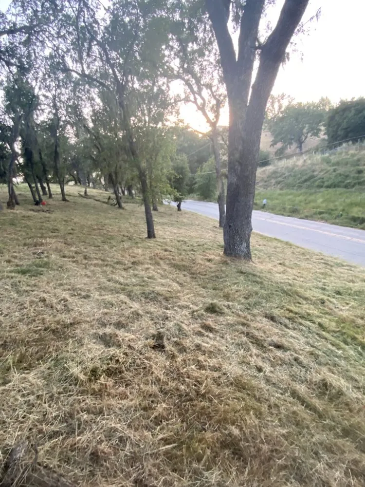 Custom yard cleanup service experts serving Atascadero, CA - Blaise’s LawnCare