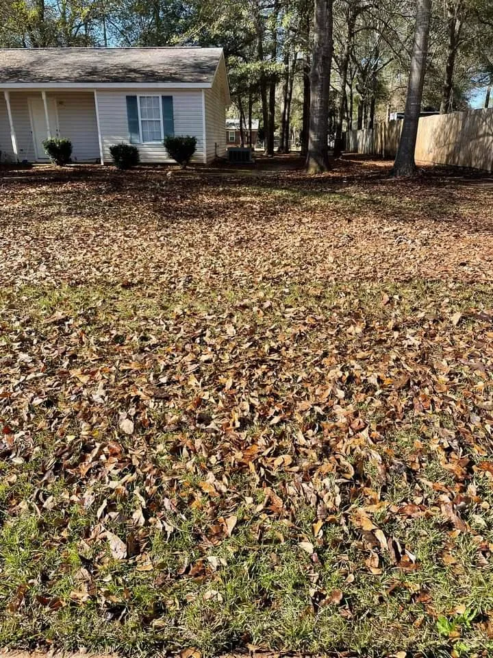 Top-rated lawn mowing service experts serving Perry, GA - Blake & Sons Lawncare &More