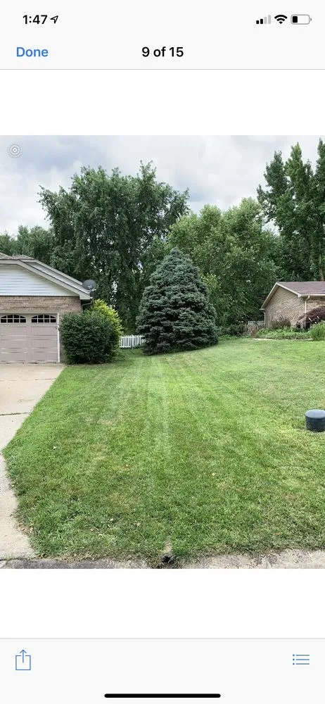 Top-rated yard cleanup service for outdoor upgrades in Glen Carbon, IL by Blake and Gianni Lawncare