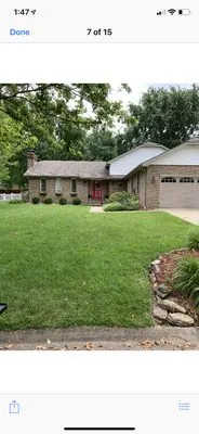 Blake and Gianni Lawncare