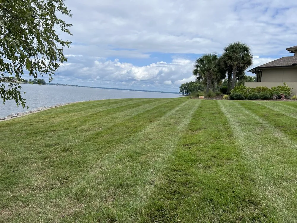 Professional yard cleanup service for year-round maintenance in Lexington, SC by Blake Brothers Lawn Care