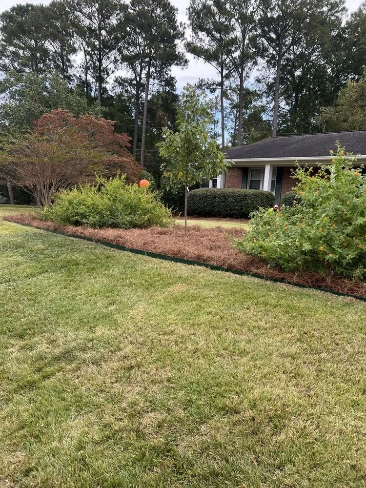 Professional lawn care service in Lexington, SC - Blake Brothers Lawn Care