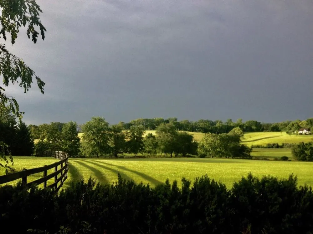 Affordable garden landscaping for outdoor upgrades across Leesburg, VA - Blake Landscapes