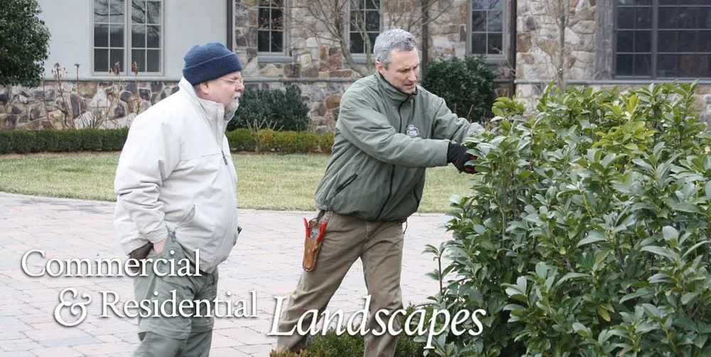 Expert residential landscaping in Leesburg, VA - Blake Landscapes