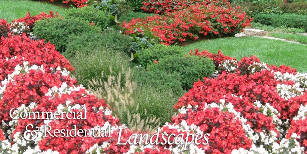 Local landscape installation in Leesburg, VA by Blake Landscapes