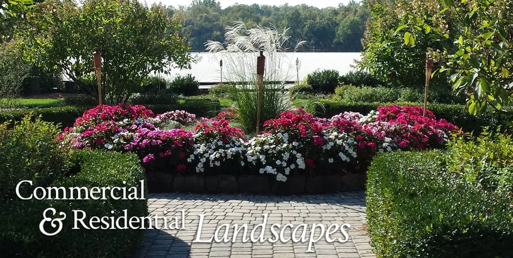 Expert lawn care service in Leesburg, VA by Blake Landscapes