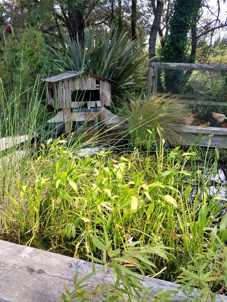Trusted residential landscaping in Gleneden Beach, OR by Blake's Coastal Nursery