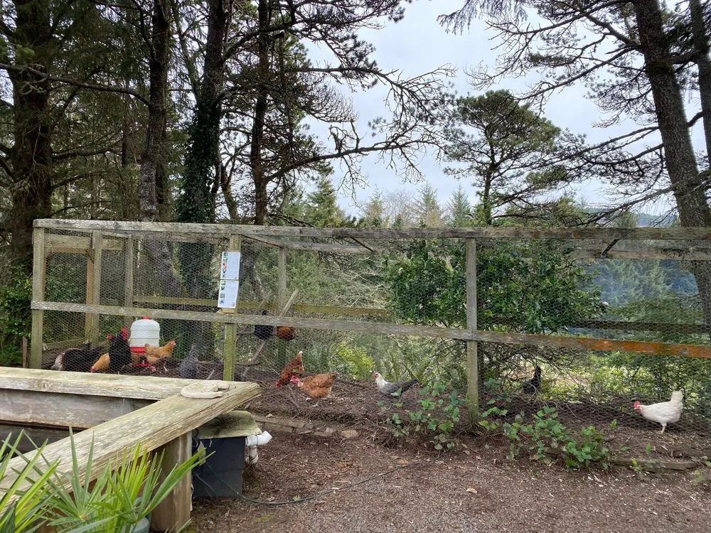 Trusted garden landscaping for outdoor upgrades across Gleneden Beach, OR - Blake's Coastal Nursery