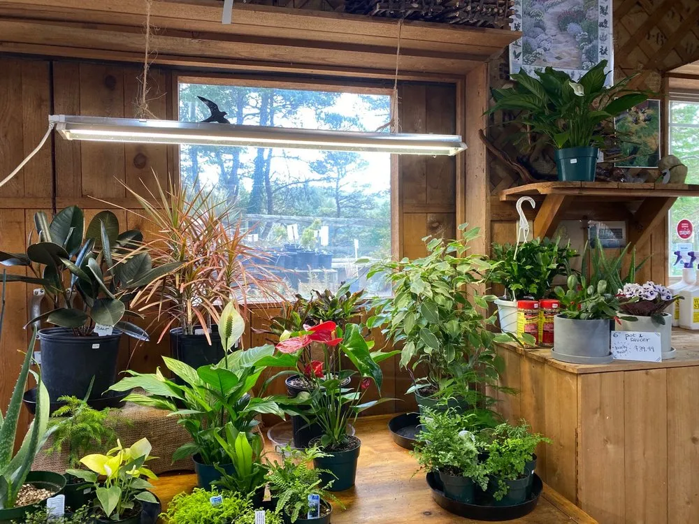 Trusted yard cleanup service with custom design across Gleneden Beach, OR - Blake's Coastal Nursery