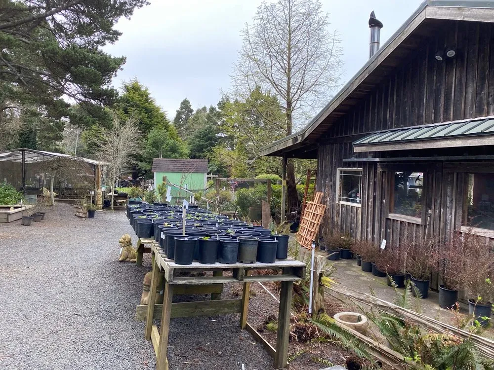 Local residential landscaping for beautiful yards in Gleneden Beach, OR by Blake's Coastal Nursery