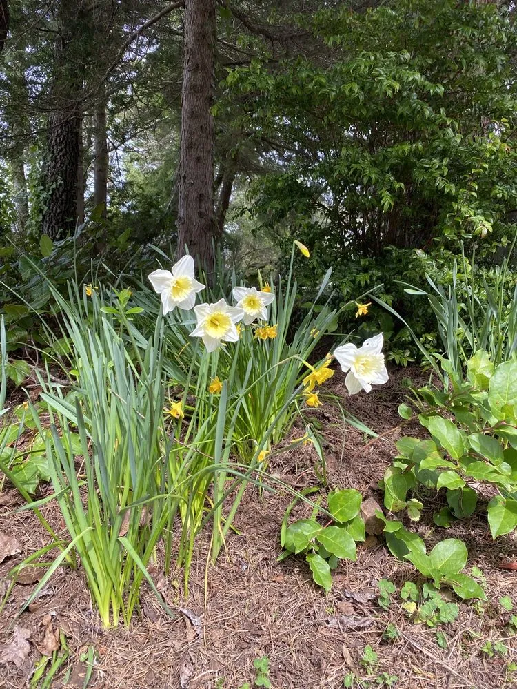 Trusted lawn mowing service in Gleneden Beach, OR by Blake's Coastal Nursery