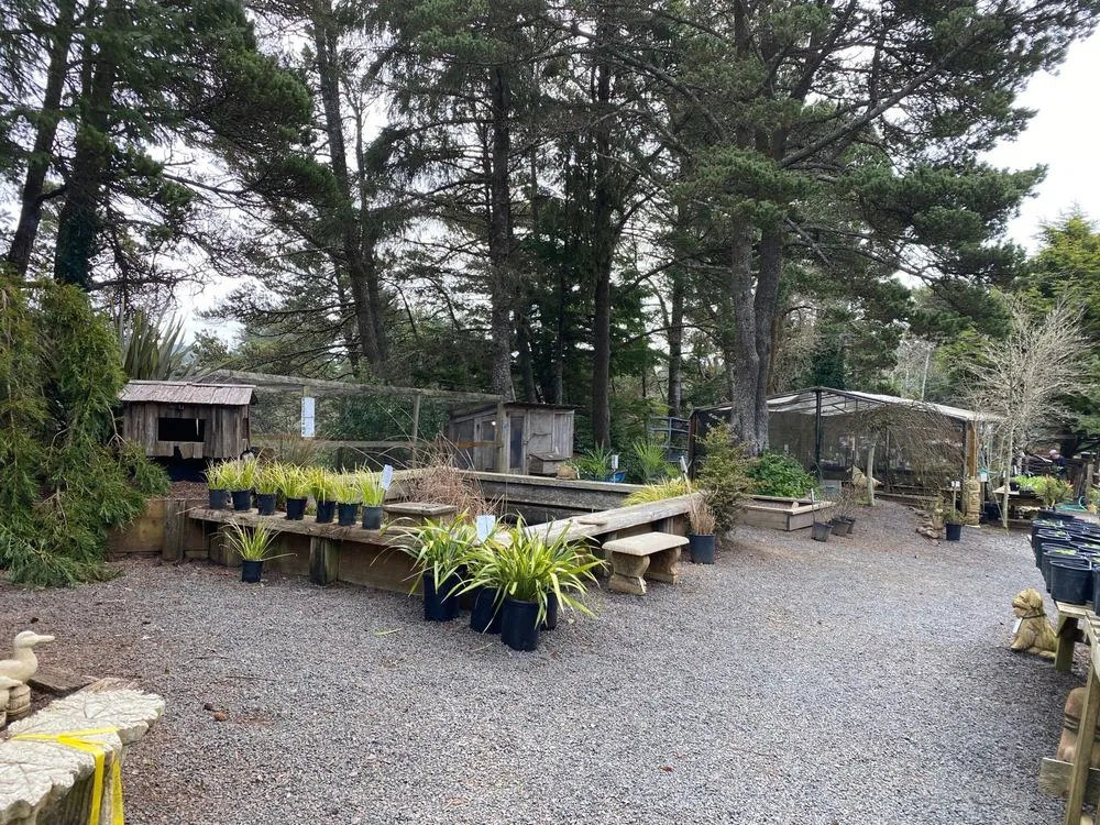 Reliable yard cleanup service in Gleneden Beach, OR by Blake's Coastal Nursery