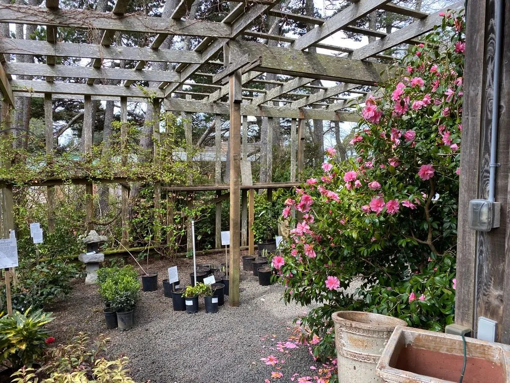 Local lawn care service in Gleneden Beach, OR - Blake's Coastal Nursery