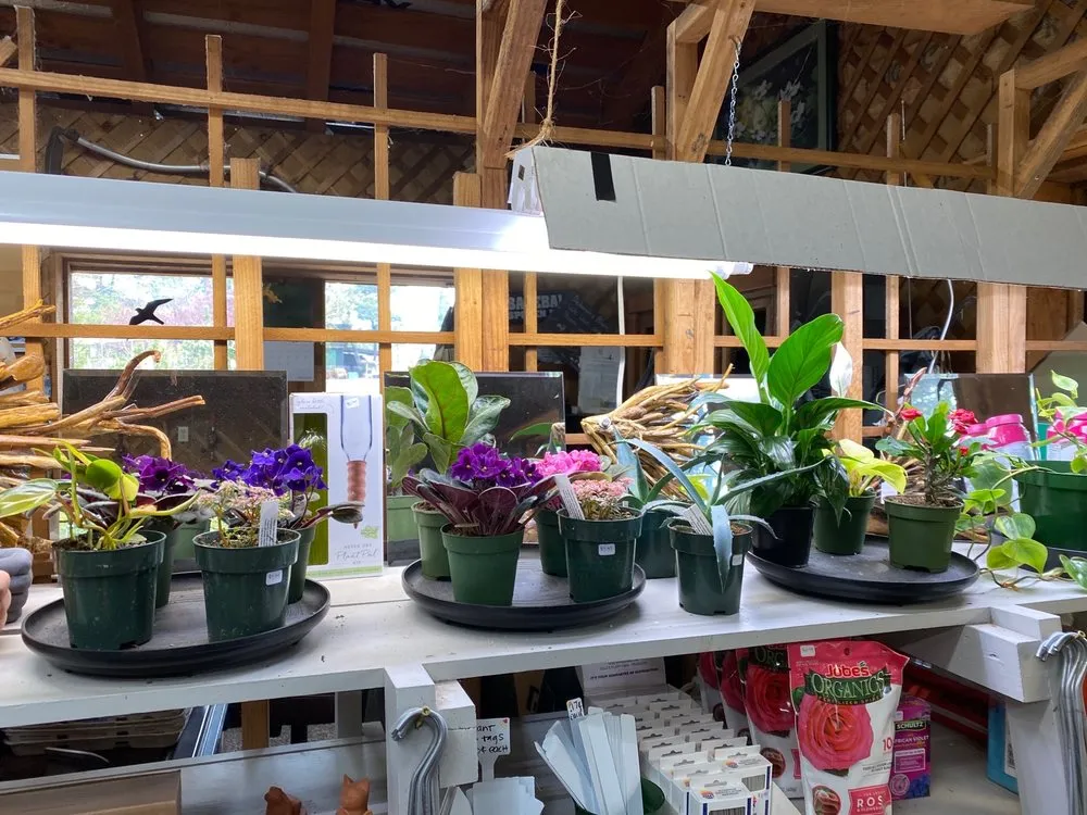 Reliable landscape design in Gleneden Beach, OR - Blake's Coastal Nursery