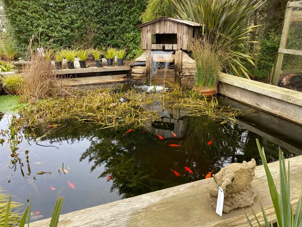 Trusted residential landscaping in Gleneden Beach, OR - Blake's Coastal Nursery