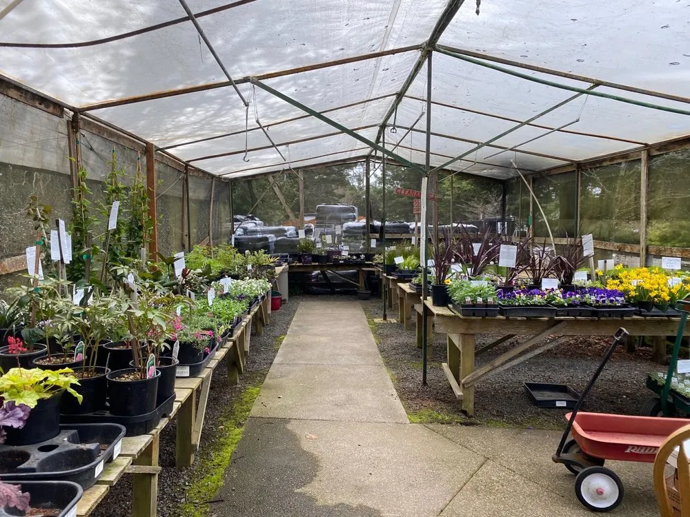 Affordable yard maintenance in Gleneden Beach, OR by Blake's Coastal Nursery