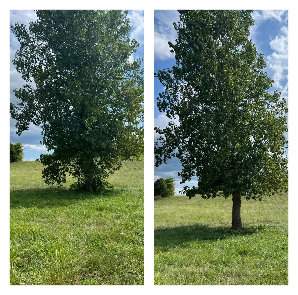 Top-rated yard maintenance in New Castle, IN by Blake’s Exterior Projects